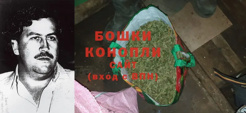 цены наркотик  Дальнегорск  Бошки марихуана SATIVA & INDICA 